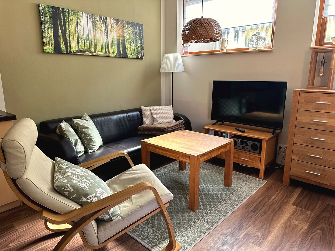 Wohnraum mit Ledercouch, Fernseher und Holzmöbeln